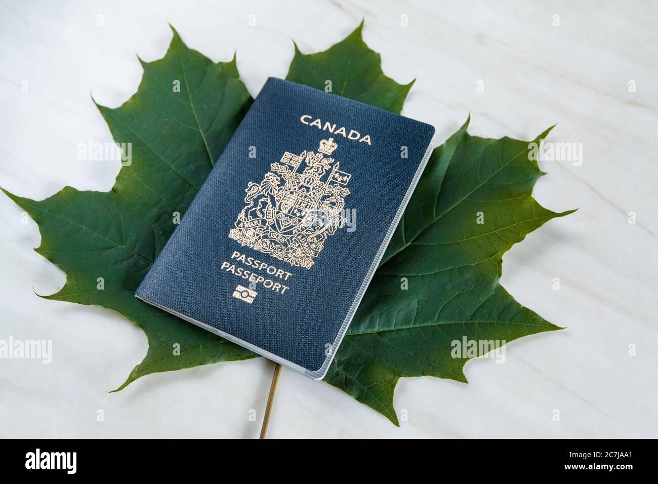 Su una grande foglia di acero verde, il passaporto canadese. Foto Stock