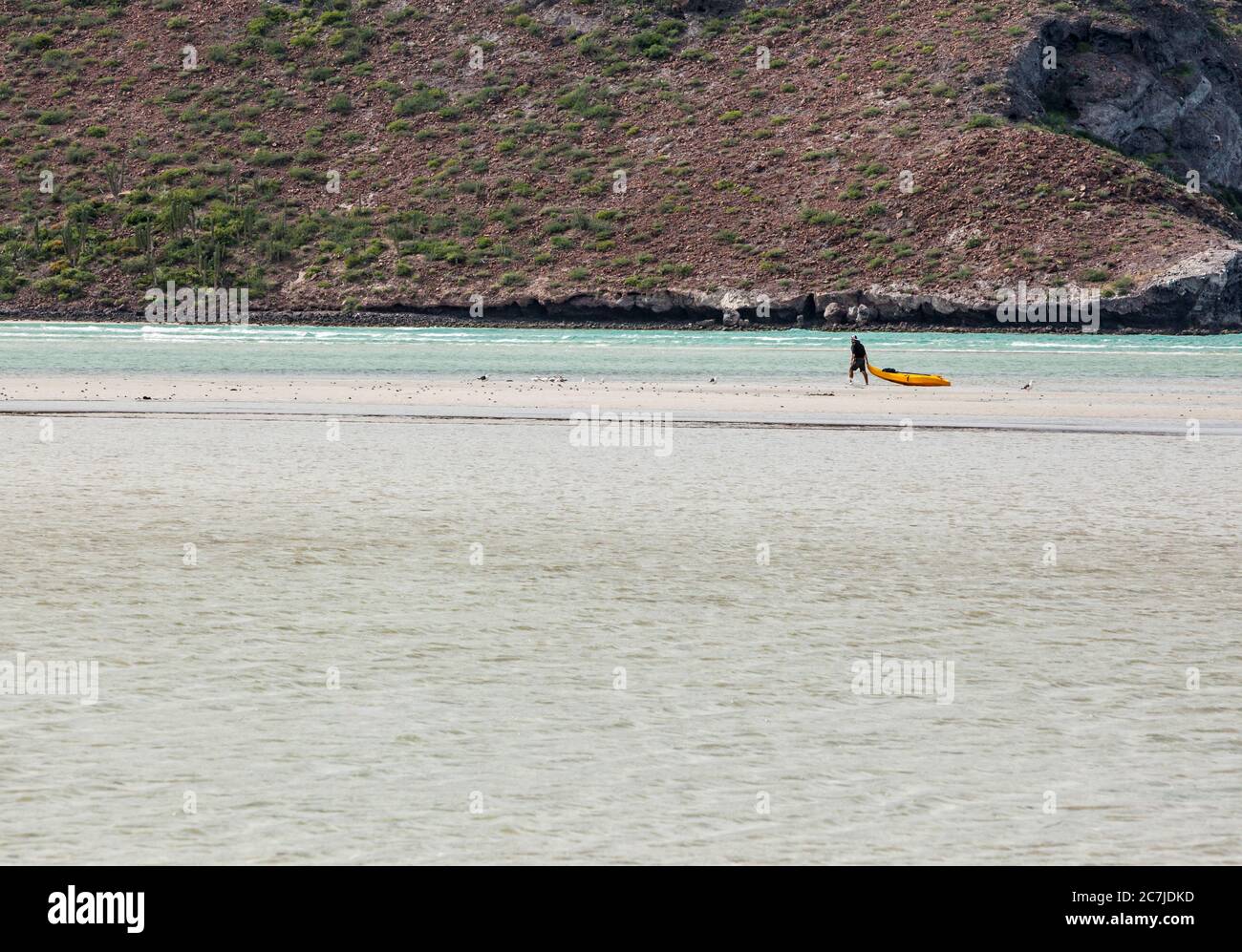 Un uomo che trascina il suo kayak in acque profonde a Balandra Beach, BCS Messico. Foto Stock