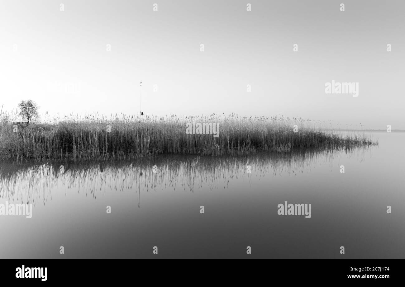 Immagine in scala di grigi di una piccola isola con molto erba che si riflette sul mare Foto Stock