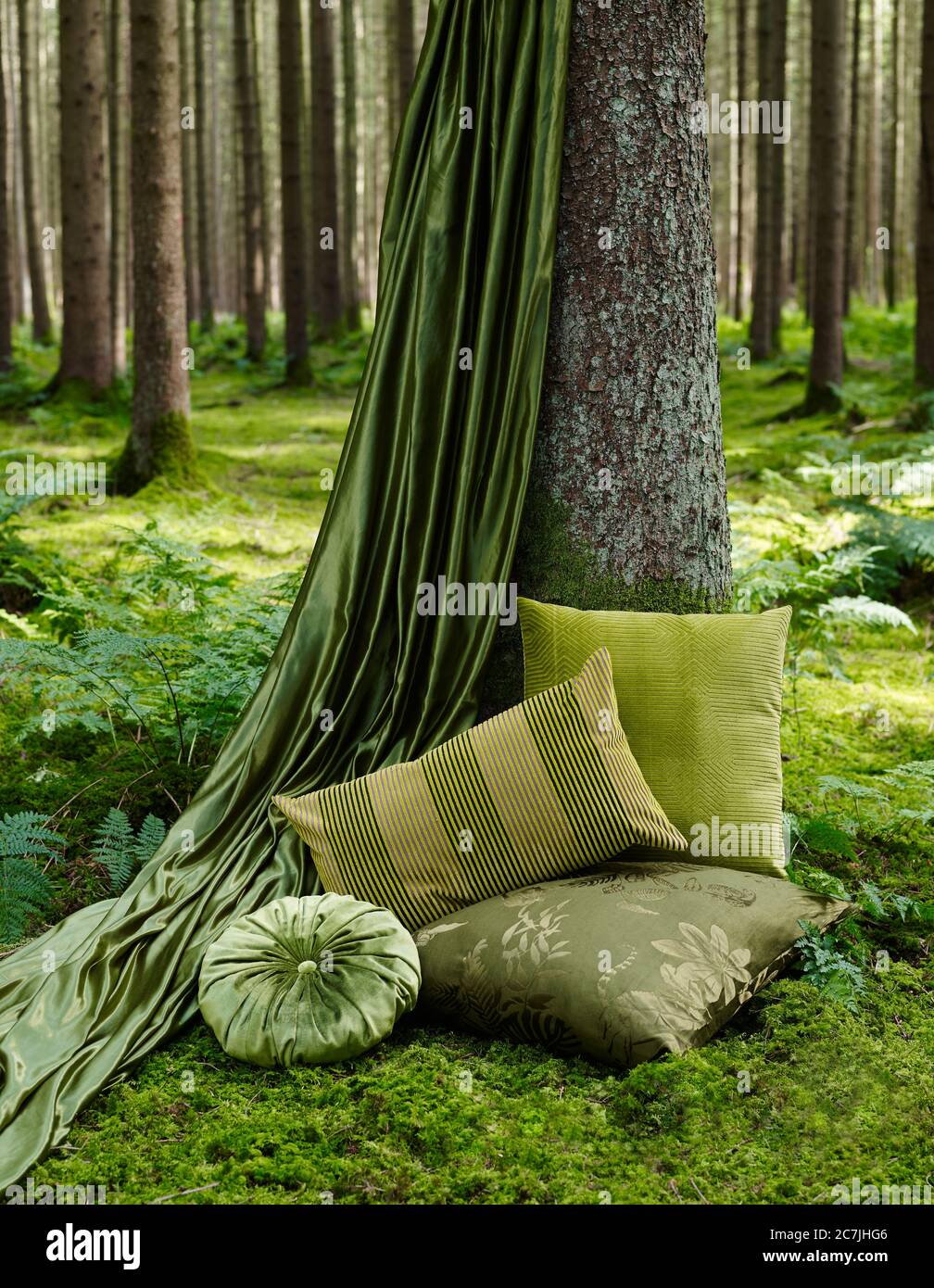 Tessuti verdi e decorazioni nel bosco Foto Stock