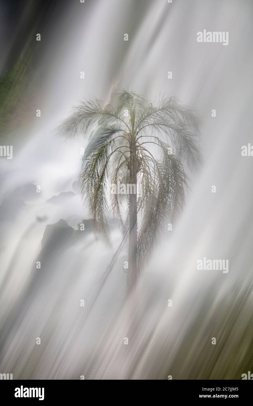 Cataratas del Iguaza, Parque Nacional Iguaza, provincia de Misiones, en el Nordeste, Argentina, Sud America Foto Stock