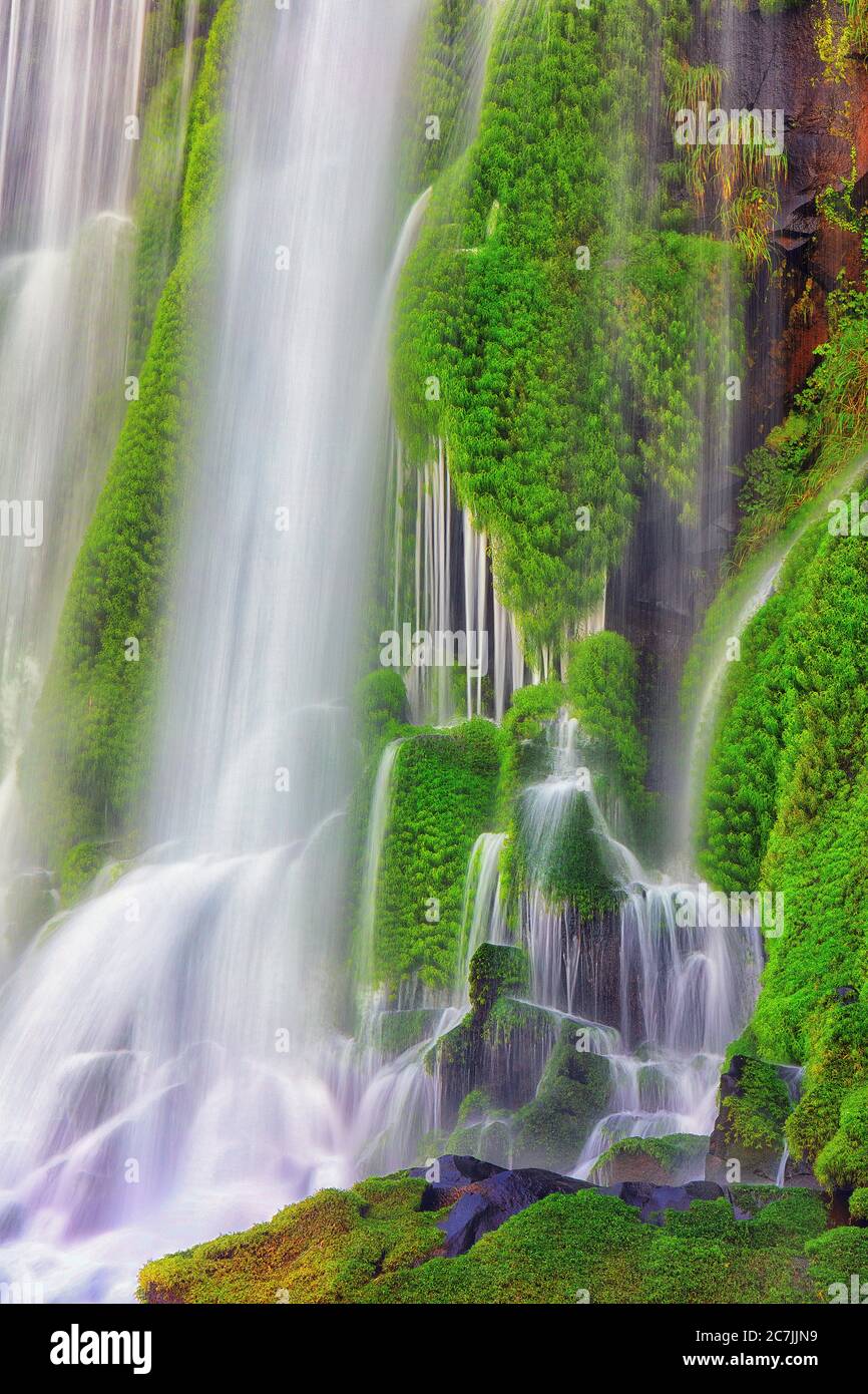 Cataratas del Iguaza, Parque Nacional Iguaza, provincia de Misiones, en el Nordeste, Argentina, Sud America Foto Stock