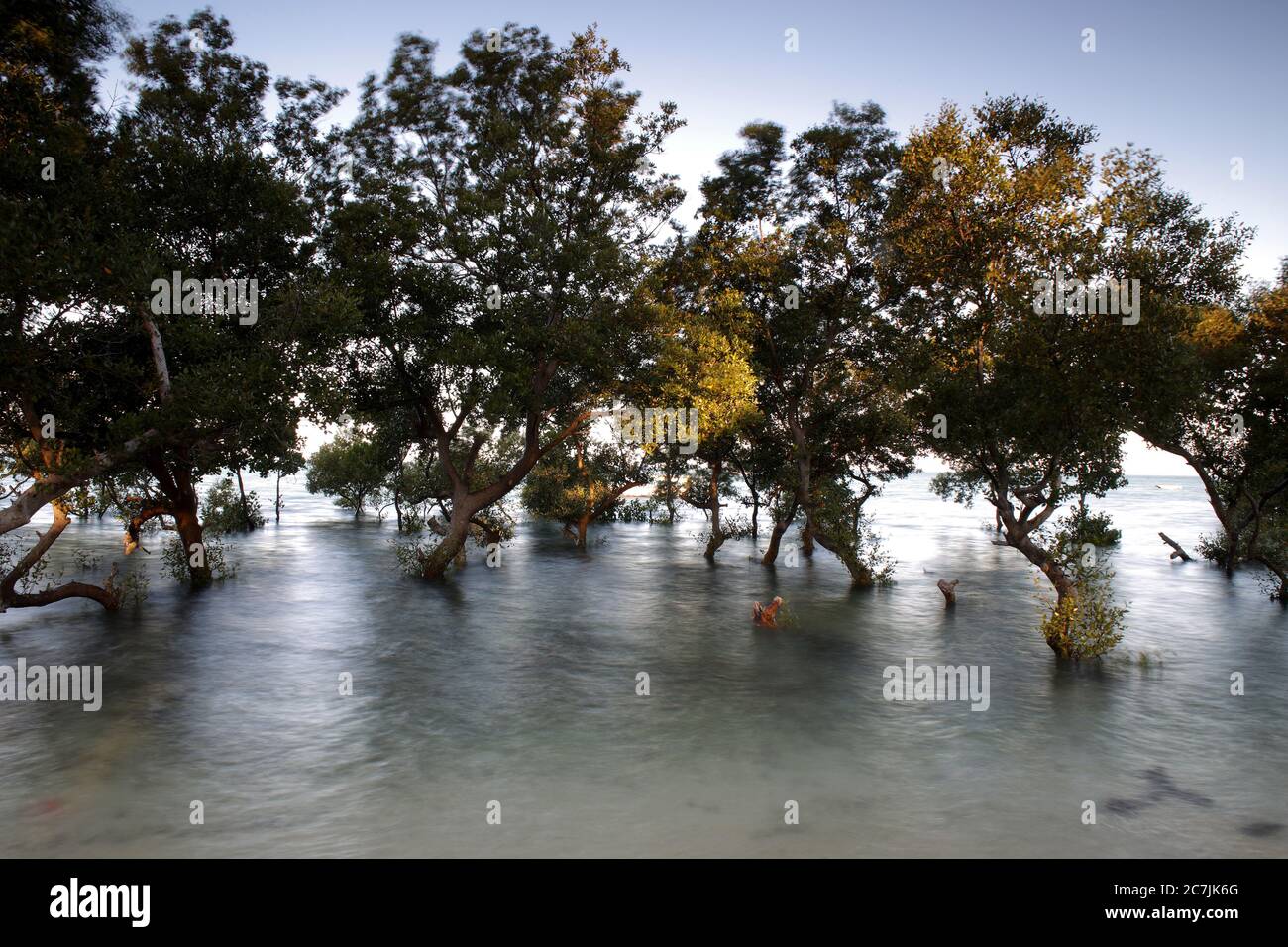 Mozambico, Vilanculos, arcipelago di Bazaruto, la mangrovia a bassa marea Foto Stock