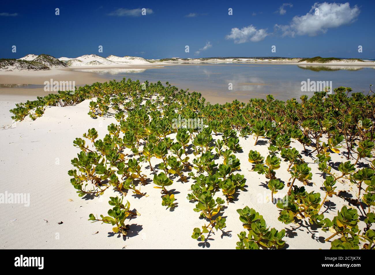 Mozambico, Arcipelago di Bazaruto, acque cristalline e sabbie poco profonde al largo dell'isola di Benguerra, Foto Stock