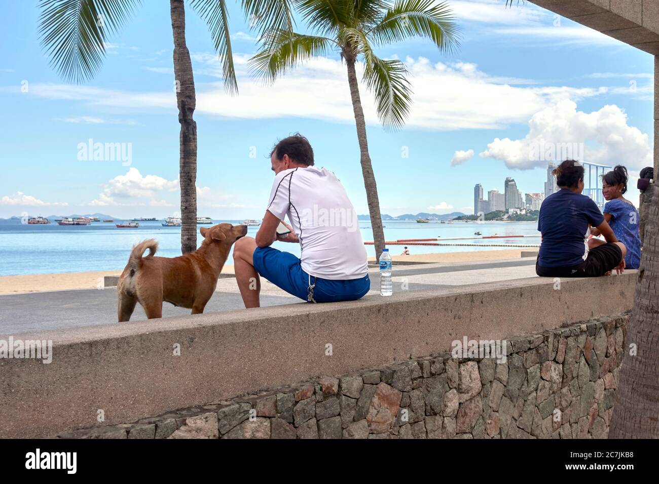 Cane che guarda con amore al suo proprietario rilassandosi su una parete di fronte al mare che si affaccia sulla spiaggia e l'oceano a Pattaya Thailandia Sud-Est asiatico Foto Stock