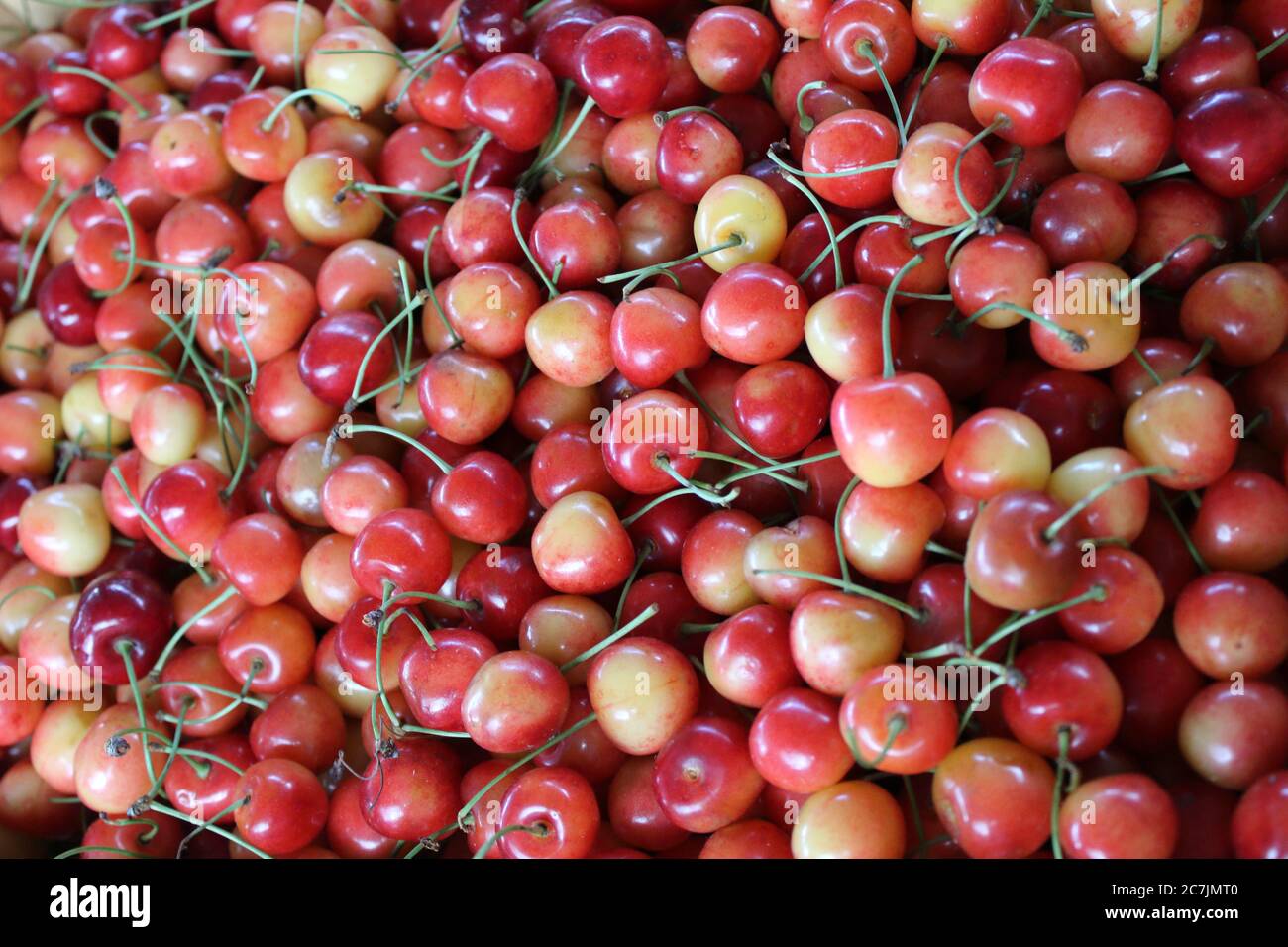 Ciliegie rosso-gialle in una cassa Foto Stock