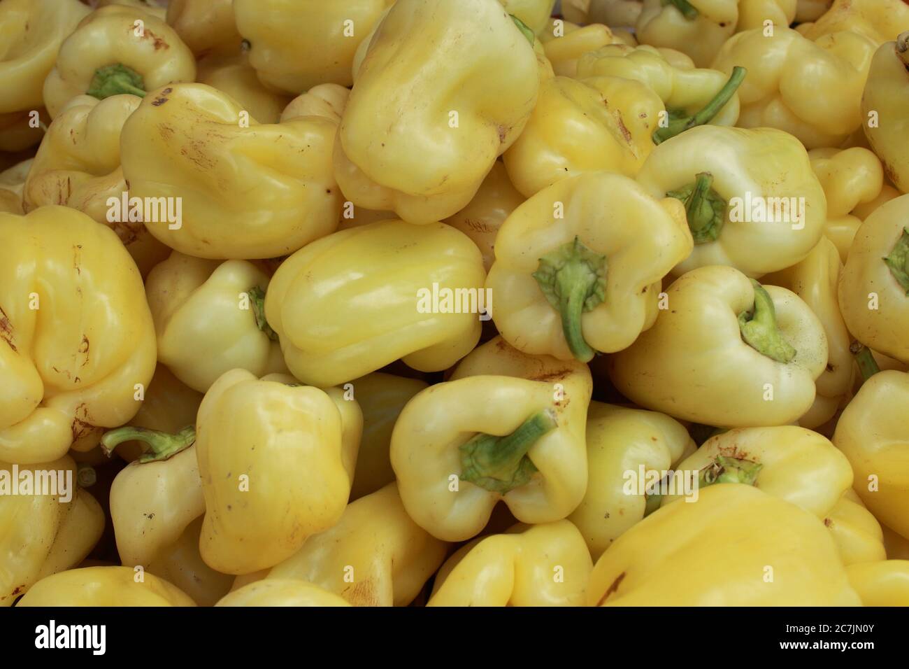 Peperoni sani sul mercato verde Foto Stock