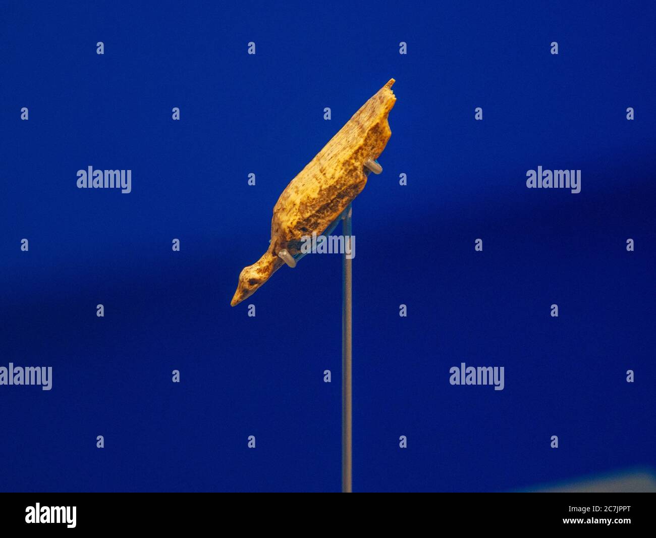 Uccelli acquatici, Hohle Fels, 38,000 anni, Museo della Preistoria, Patrimonio dell'Umanità dell'UNESCO, Blaubeuren, Baden-Württemberg, Germania Foto Stock