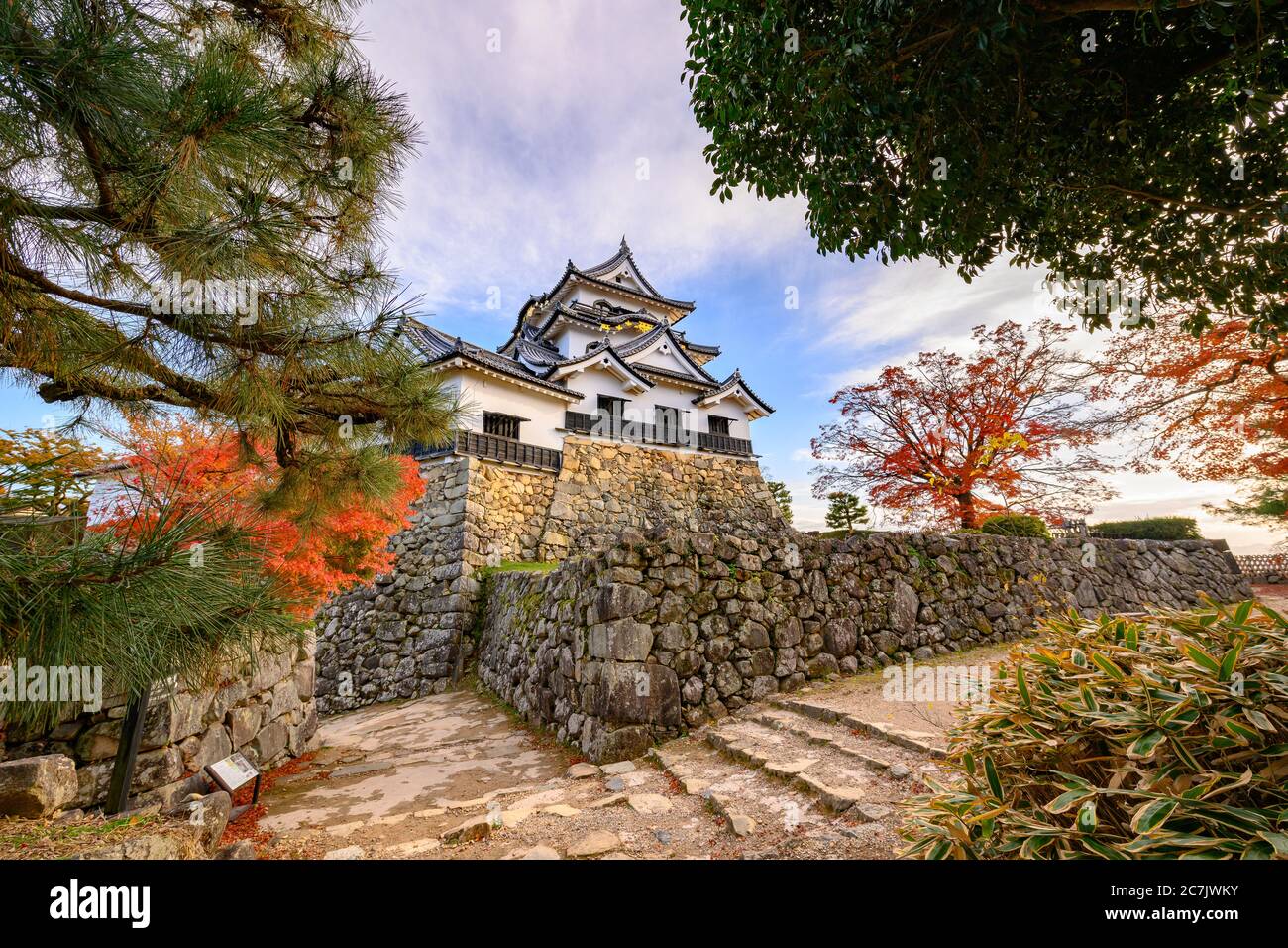 Cielo bello nella stagione autunnale al Castello di Hikone, il castello di Hikone è uno dei 12 castelli originali in Giappone - Prefettura di Shiga. Foto Stock