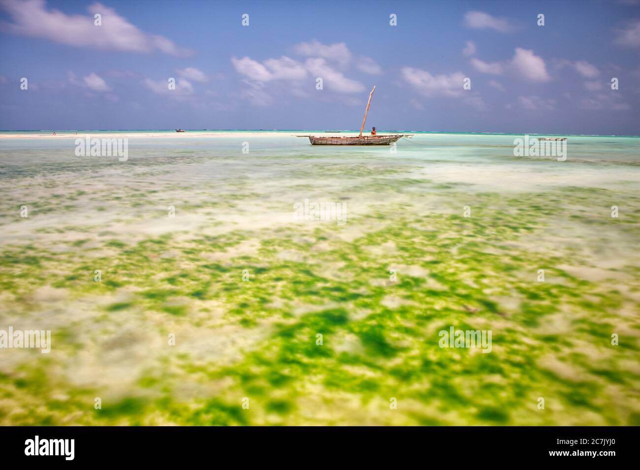 Pesca dhows in barca a vela nel pomeriggio da Nungwi, Zanzibar, Tanzania, Africa orientale Foto Stock