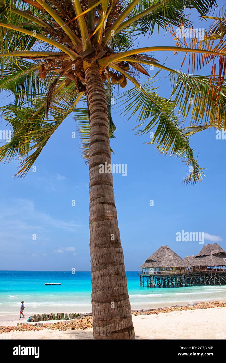 Tanzania, Arcipelago di Zanzibar, isola di Unguja (Zanzibar), Nungwi Foto Stock