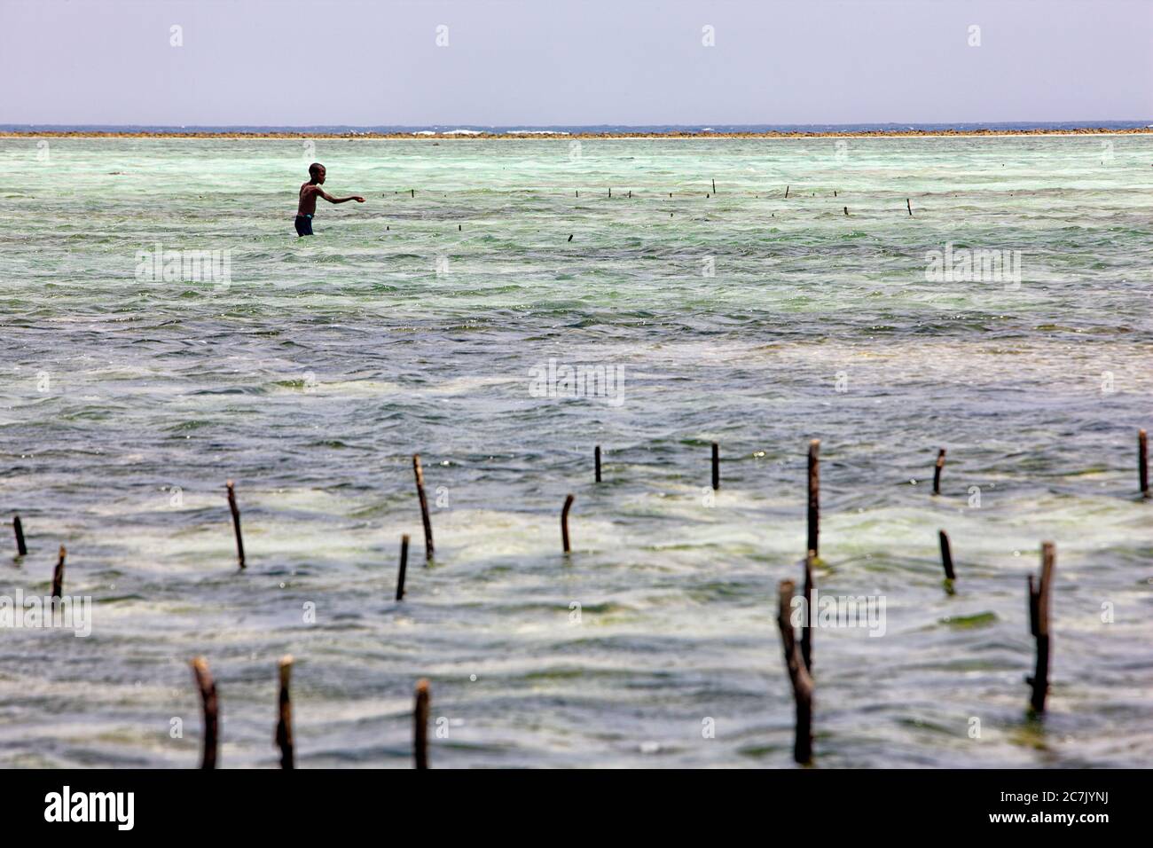 Pesca in acque poco profonde al largo di Matemwe sulla costa nord-orientale di Zanzibar Foto Stock