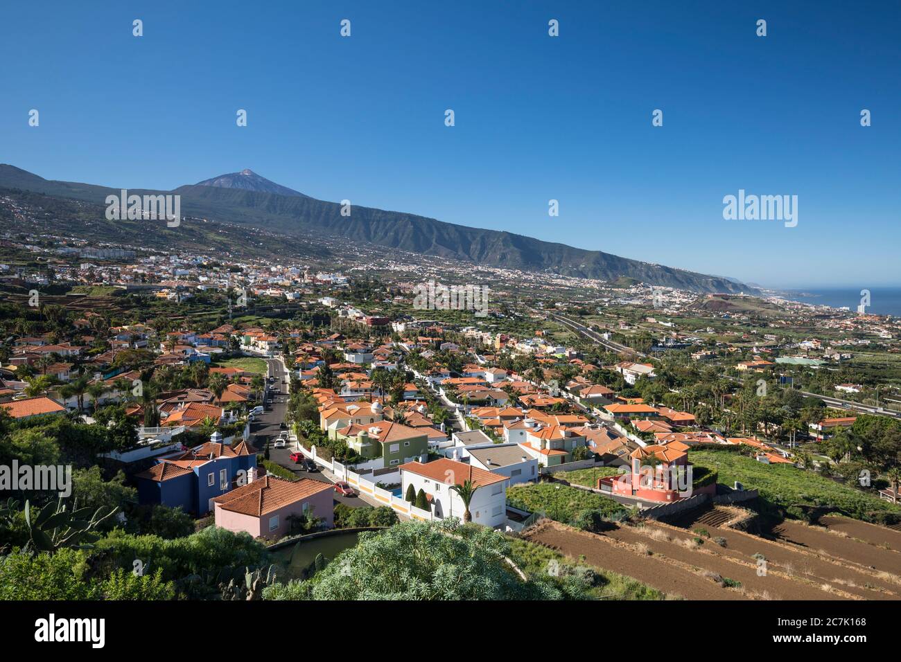 Vista su la Orotava e Puerto de la Cruz nella valle di Orotava verso Pico del Teide (3715 m), Tenerife, Isole Canarie, Spagna Foto Stock