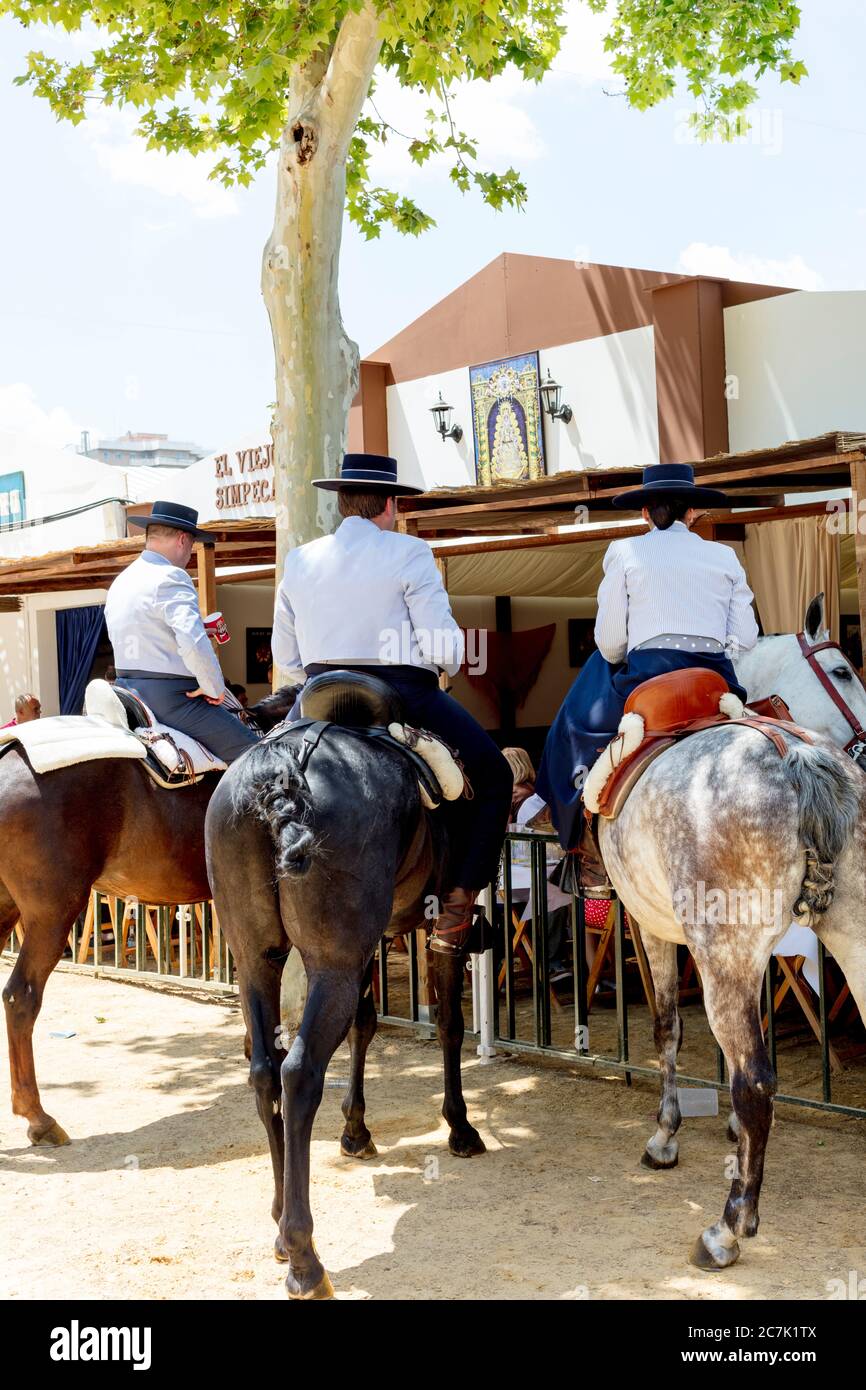 Feria del Caballo, cavaliere, cavallo, festival, costume, tradizione, cultura, costumi, Jerez de la Frontera, Andalusia, Spagna, Europa Foto Stock