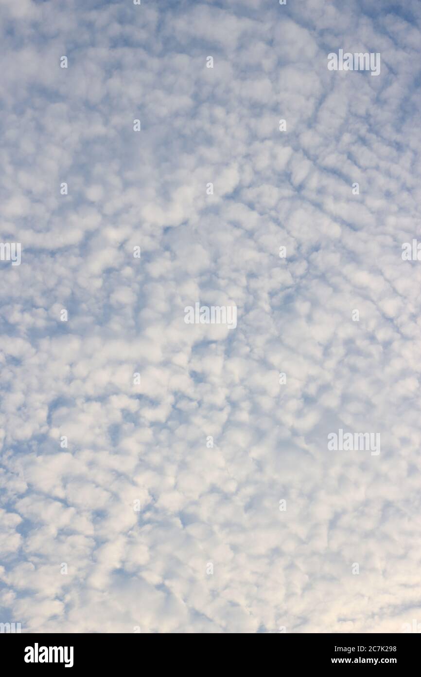 Le nuvole grigie e bianche sembrano lana di pecora o onde. Foto Stock