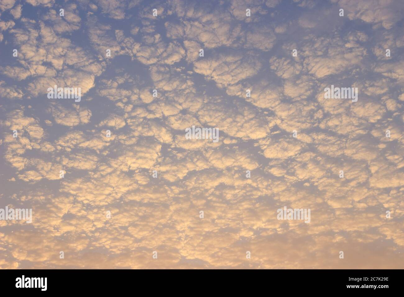 Le nuvole grigie e bianche sembrano lana di pecora o onde. Foto Stock