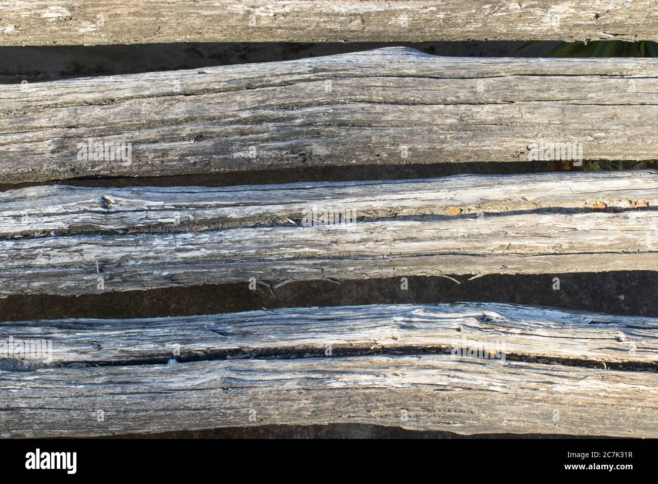 vecchi ceppi di legno tagliati da usare come sfondo Foto Stock