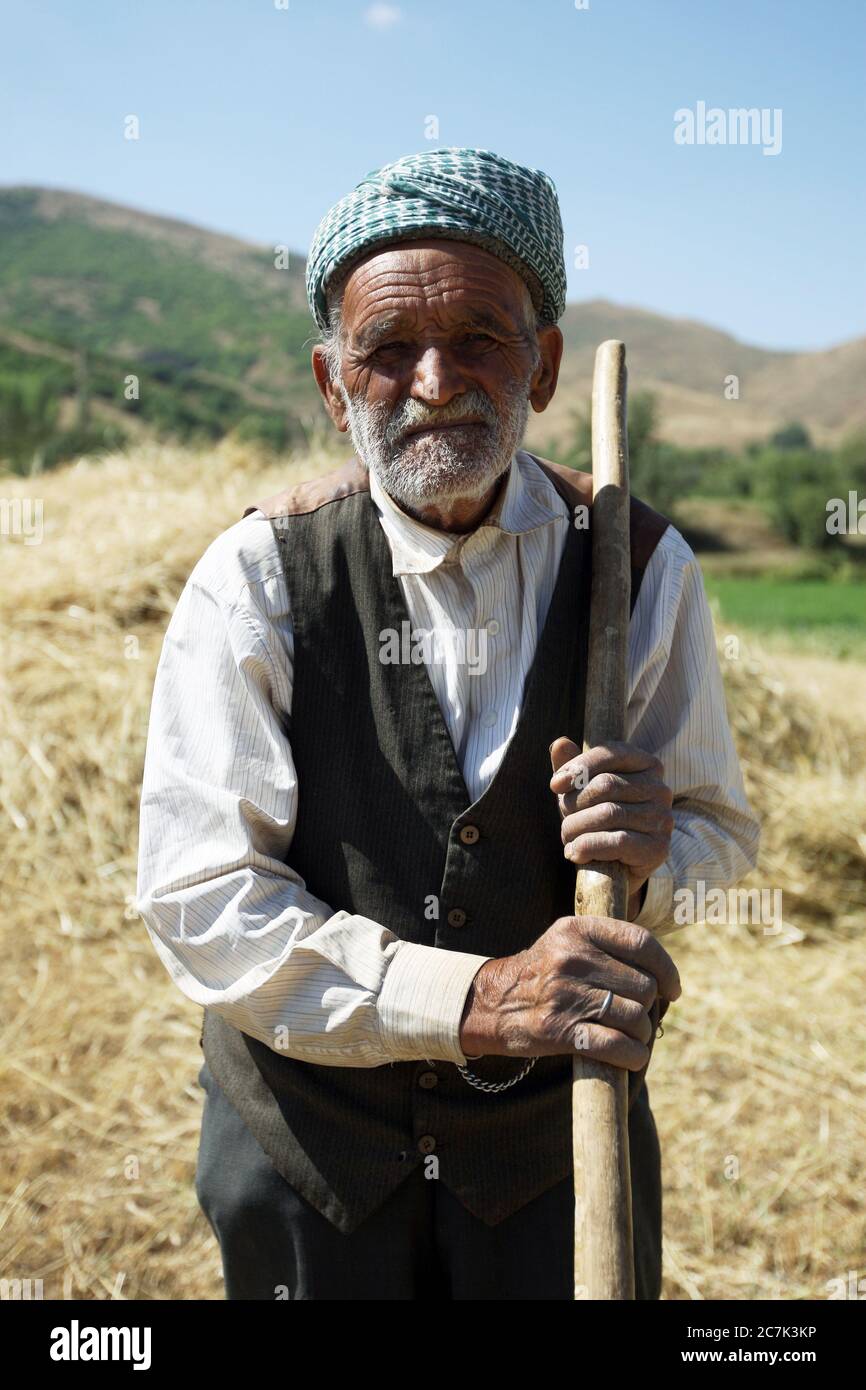 Un uomo curdo lavora con la sua famiglia accatastando fieno con una forchetta a pece sulla sua fattoria nella mattina presto vicino Tatvan nell'estremo est della Turchia. Foto Stock