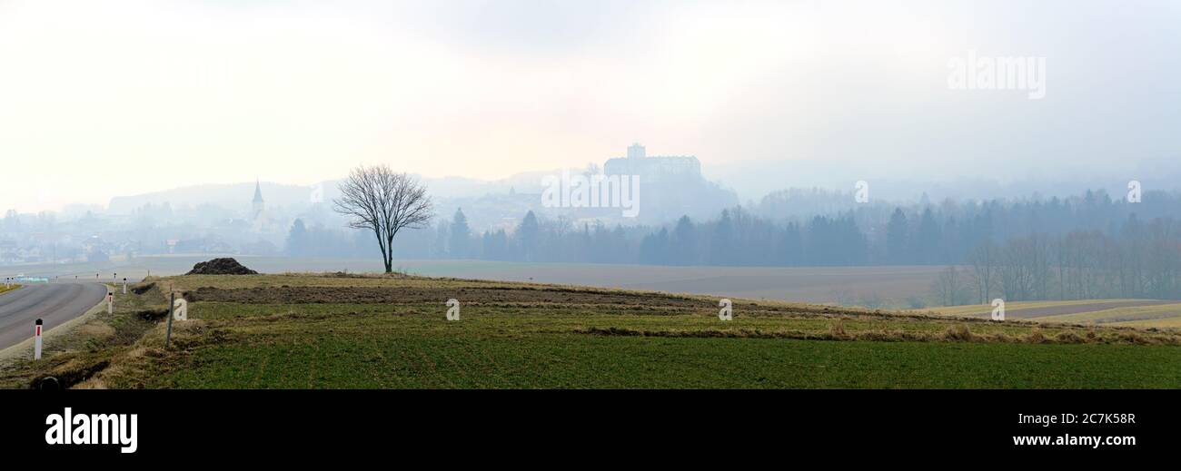 Paesaggio foggy con castello vicino al villaggio di Weitra nella regione Waldviertel (quartiere forestale), Austria Foto Stock