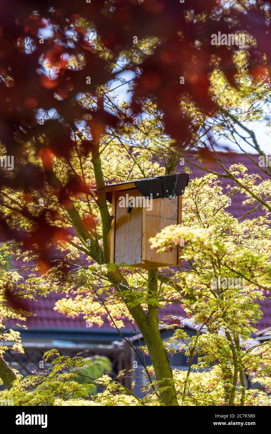 Box di annidamento in giardino Foto Stock