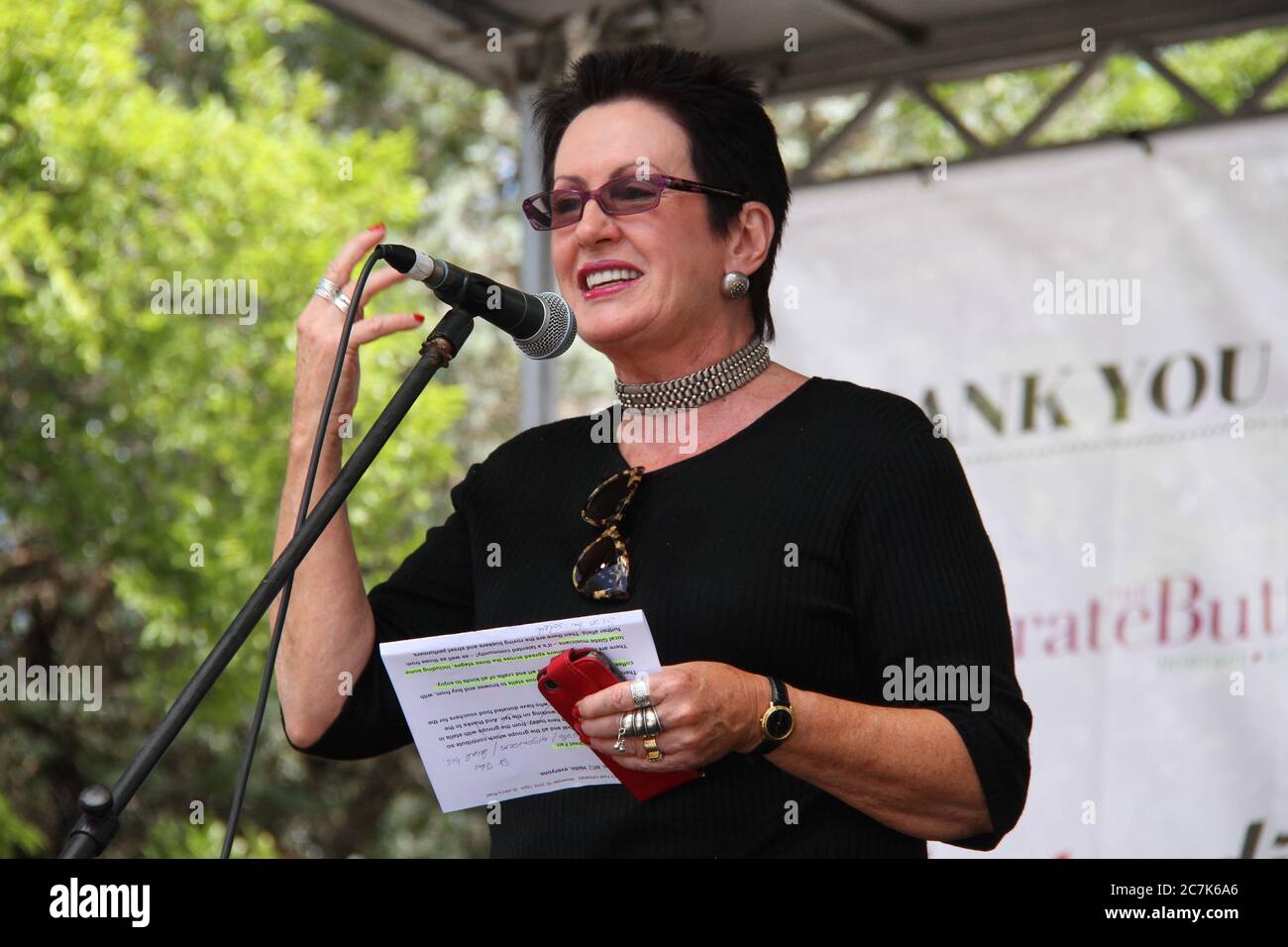 Lord Mayor di Sydney Clover Moore parla all'apertura ufficiale della fiera di Glebe Street 2014. Foto Stock