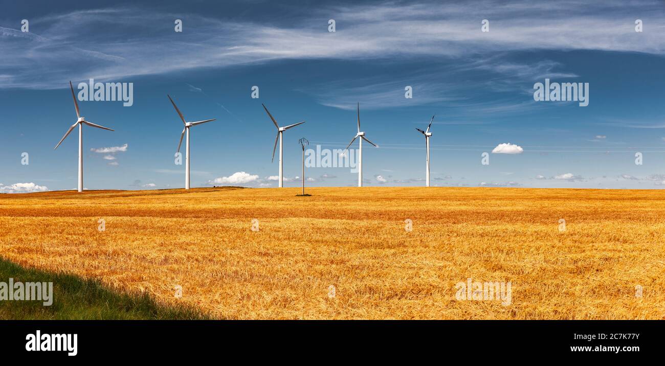 Parco eolico nel deserto di Bardenas Reales in Navarra, Spagna Foto Stock