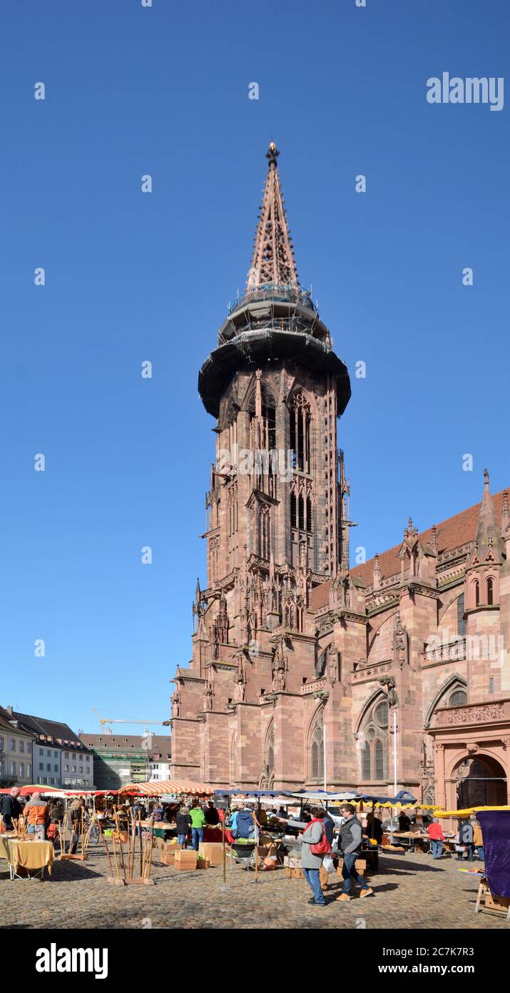 Friburgo, Baden-Württemberg, Germania, la cattedrale di Friburgo (o Münster nostra Signora) è la chiesa parrocchiale cattolica romana di Friburgo in Breisgau, iniziata in stile romanico e completata in gran parte in stile gotico e tardo gotico. Foto Stock