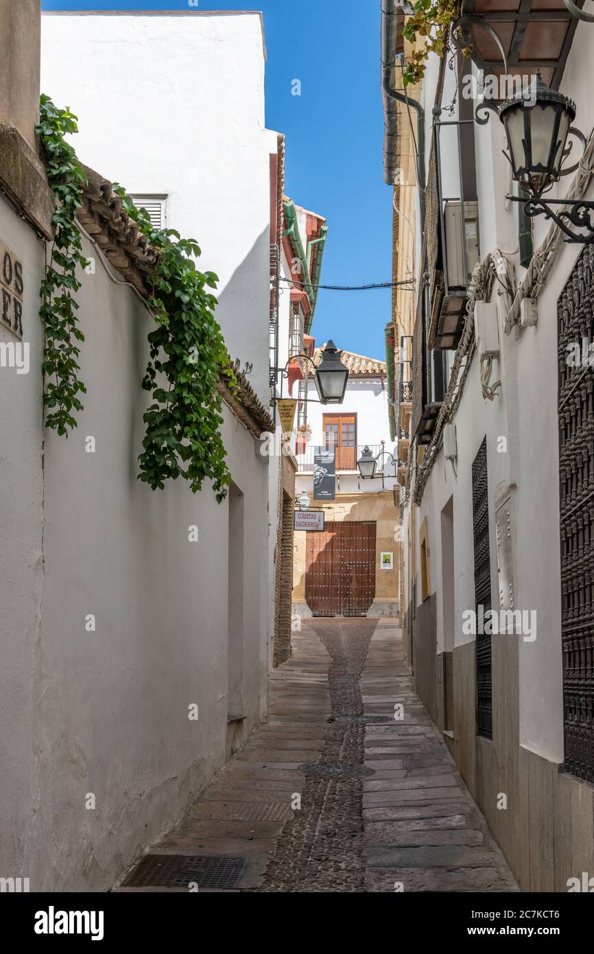 Gli edifici bianchi fiammeggiano la stretta Calle Samuel de los Santos y Gela verso l'ingresso della Casa Araba di Córdoba Foto Stock