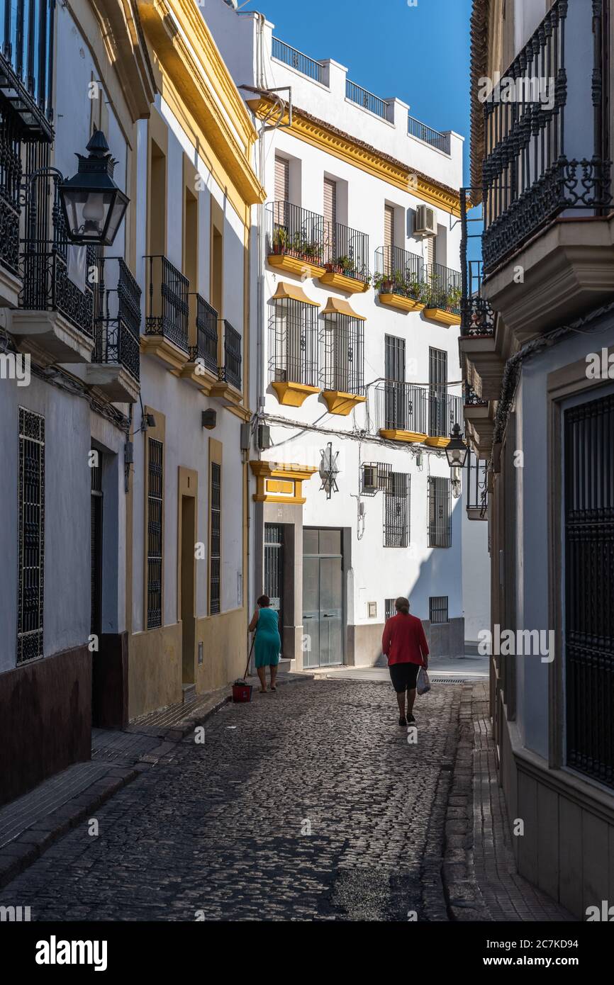Un blocco di appartamenti dipinto di bianco nella stretta Calle Juan Rufo di Cordoba illuminata da forte sole mattutino Foto Stock