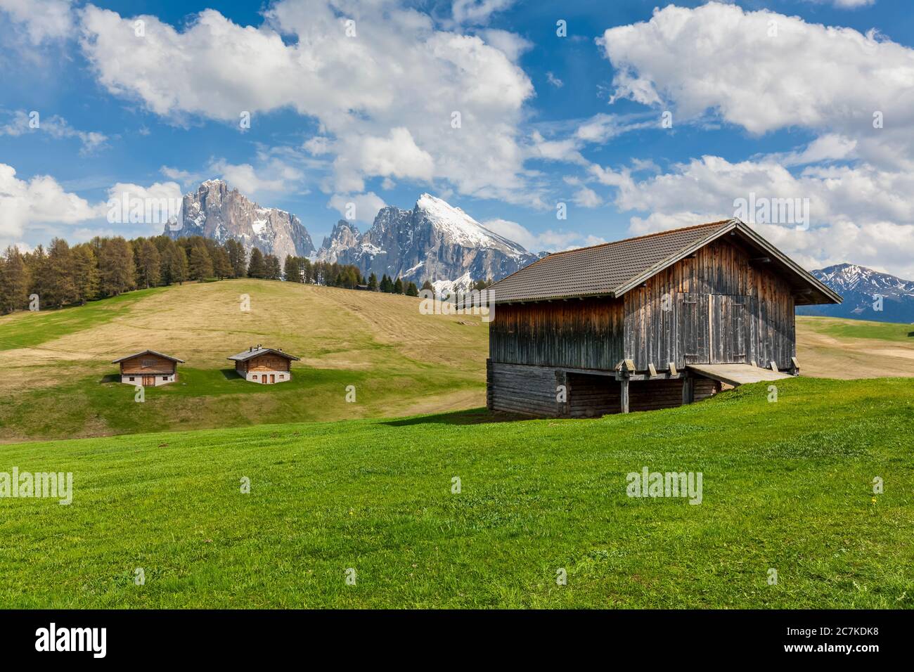 Alpe di Siusi - Alpe di Siusi, fienili caratteristici con Sassolungo / Langkofel e il Sassolopatto / Plattkofel sullo sfondo, Dolomiti, Kastelruth, Alto Adige, Italia Foto Stock