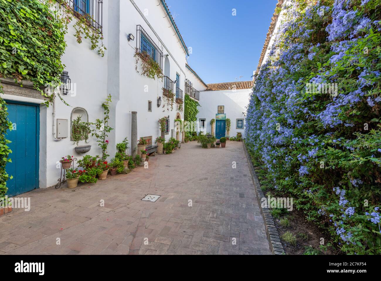 Patio de los Jardineros con il suo giardino verticale di plumbago di fronte alle pareti dipinte di bianco del Palacio de Viana Foto Stock