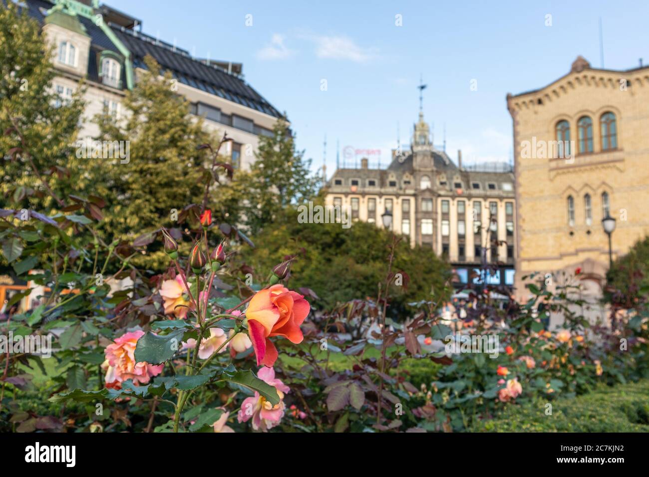 Oslo, Norvegia - 10 settembre 2019: Eidsvolls plass piazza del centro città con fiori di rosa verde in estate giorno in luce tramonto Foto Stock