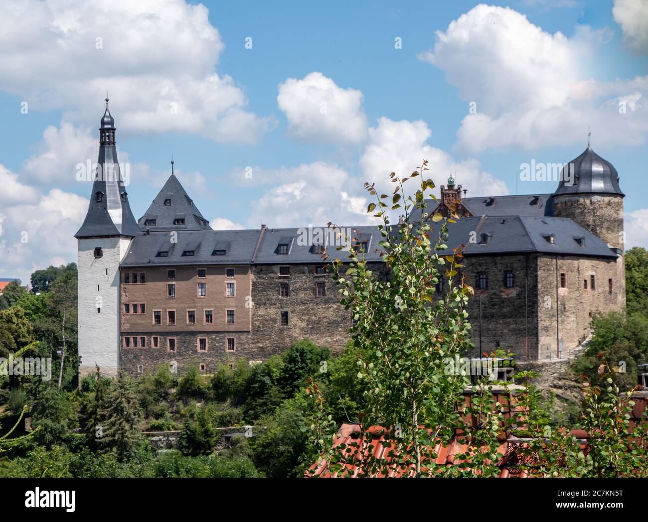 Mylau Castello nel Vogtland Sassonia Foto Stock