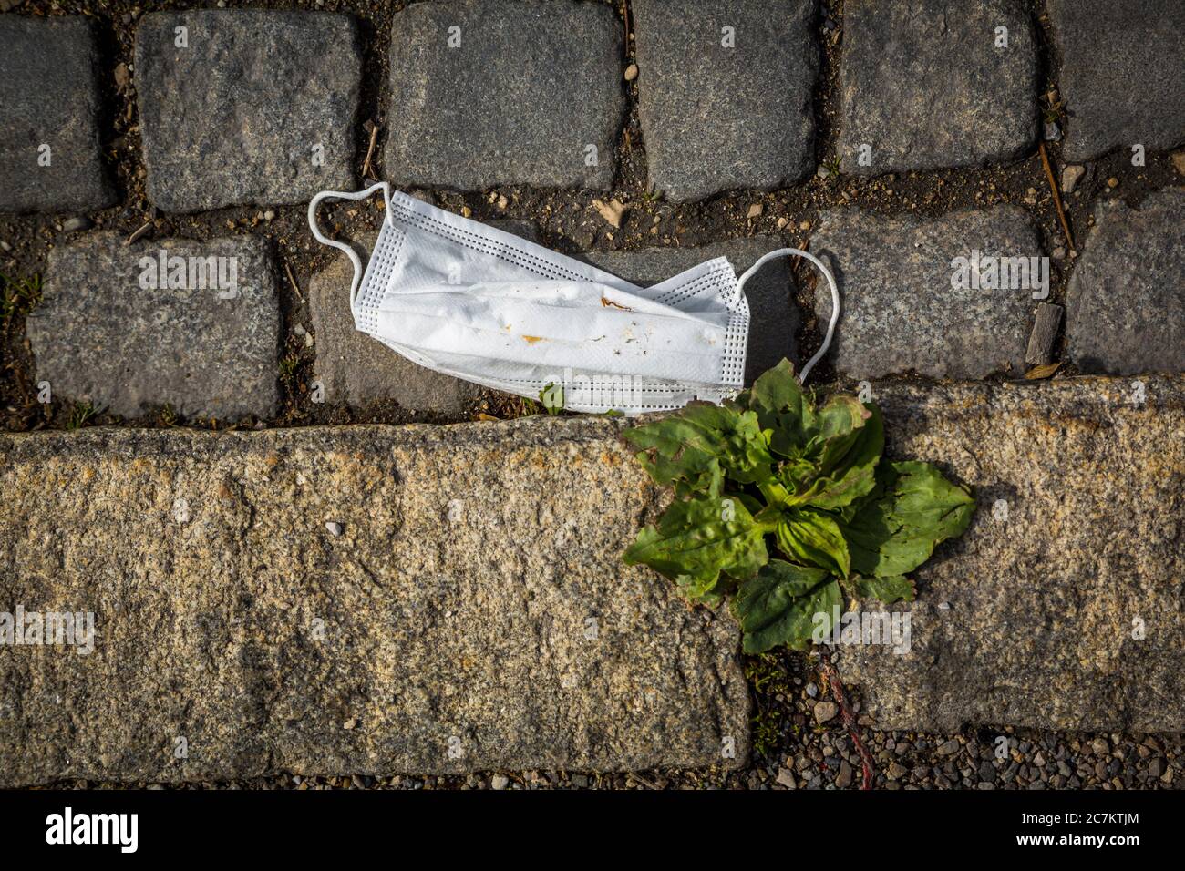 Germania, Baviera, Eichstatt, scartato bocca-naso guardia sul lato della strada. Foto Stock
