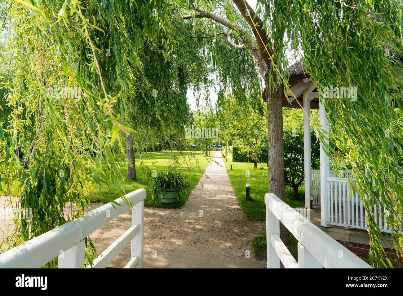 Berlino, Wannsee, giardino della Villa Liebermann, salici piangenti che si insinuano nel vento Foto Stock