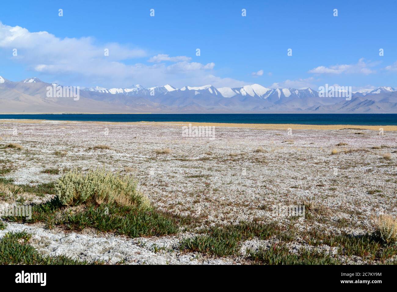 Sale sulla riva del lago Kara-Kul lungo la Pamir Highway. Tagikistan. Foto Stock