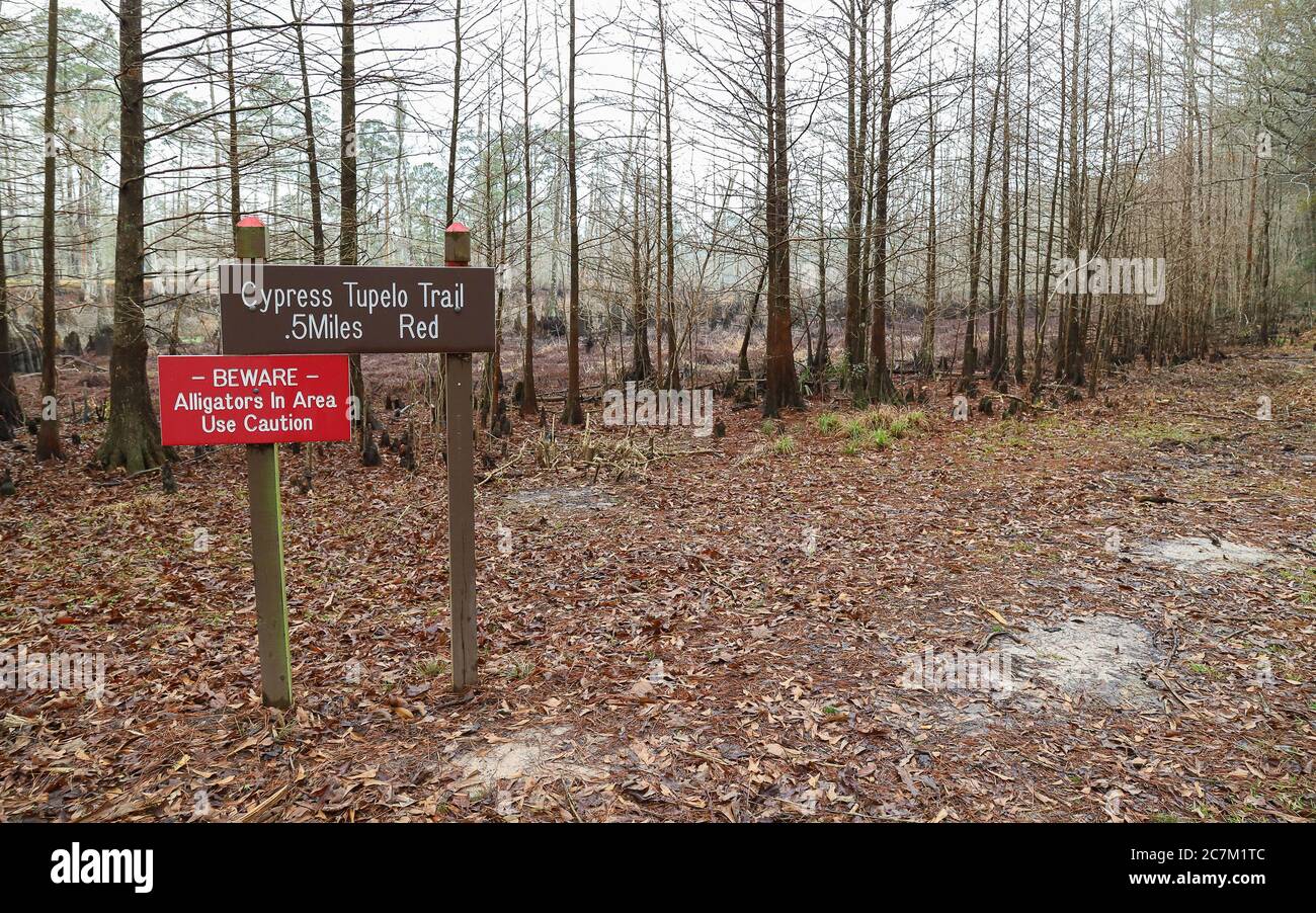 Lago Charles, Louisiana - 2018 febbraio: Un cartello avverte i visitatori della presenza di alligatori nel Sam Houston Jones state Park. Foto Stock