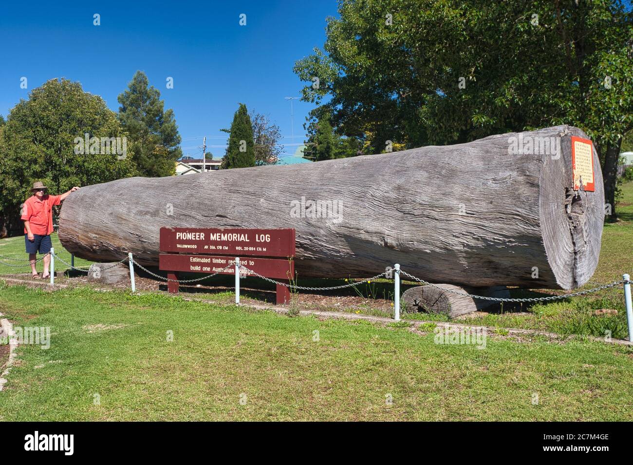 Uomo da enorme Pioneer Memorial albero, stimato per costruire un cottage australiano nei vecchi giorni, alla metà del New South Wales città di Dorrigo, Australia Foto Stock