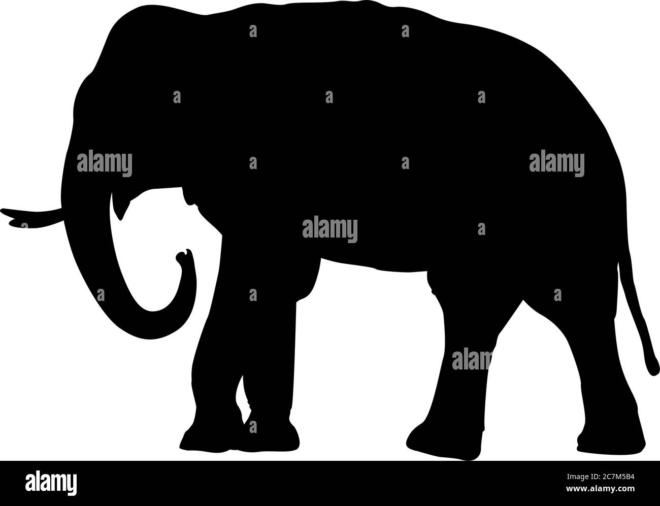 Silhouette isolata nera di un elefante asiatico (Elefas maximus) Illustrazione Vettoriale