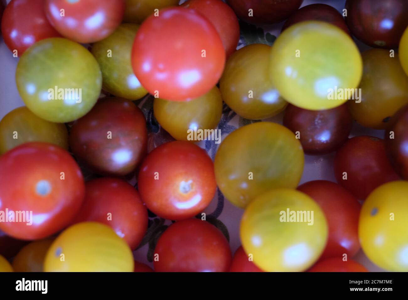 Colpo ad angolo alto di un pomodoro di prugne Foto Stock