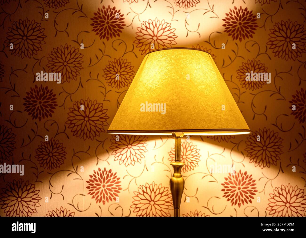 Lampada e paralume illuminate con colori colorati e sfondo a motivi Foto Stock