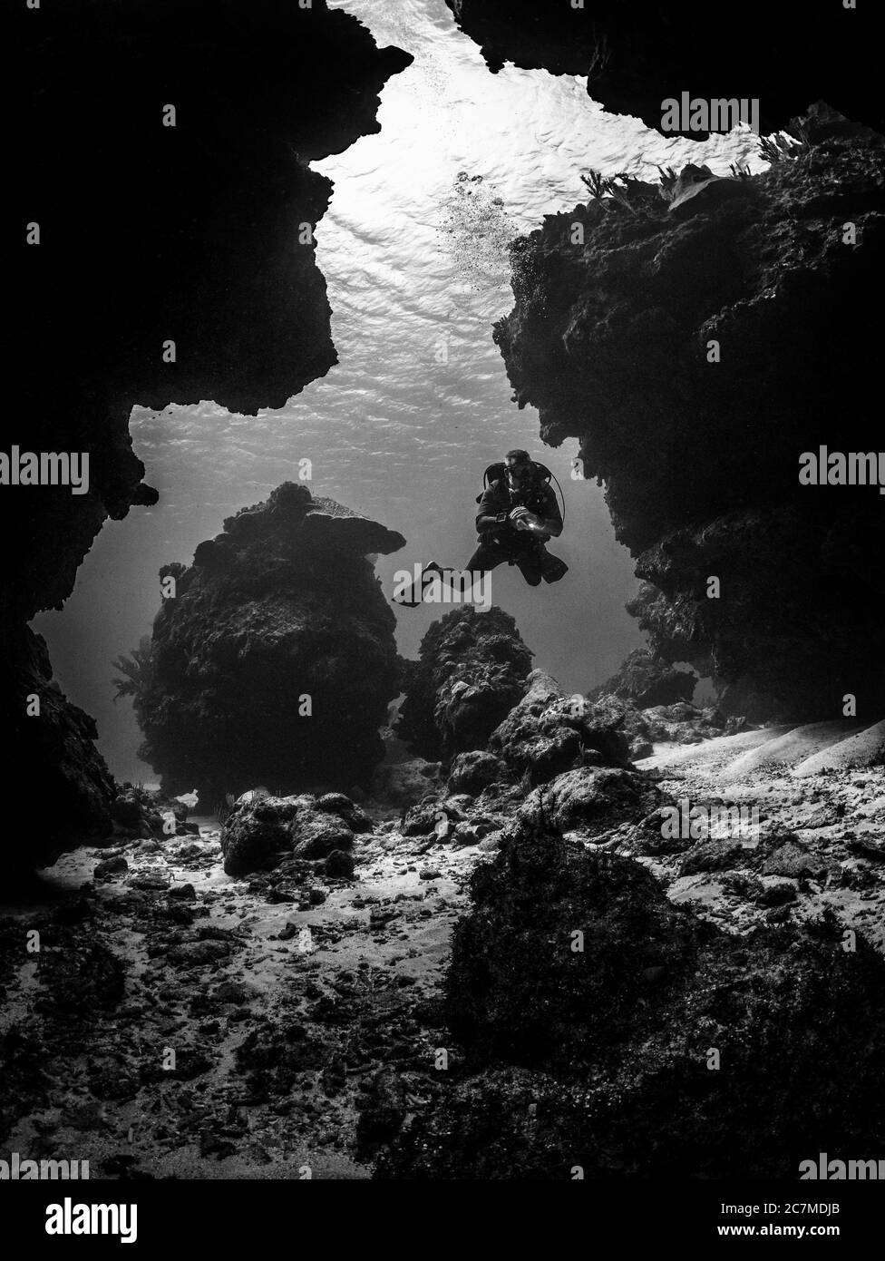 Immagine verticale in scala di grigi di un subacqueo tra le barriere coralline nuoto sott'acqua Foto Stock