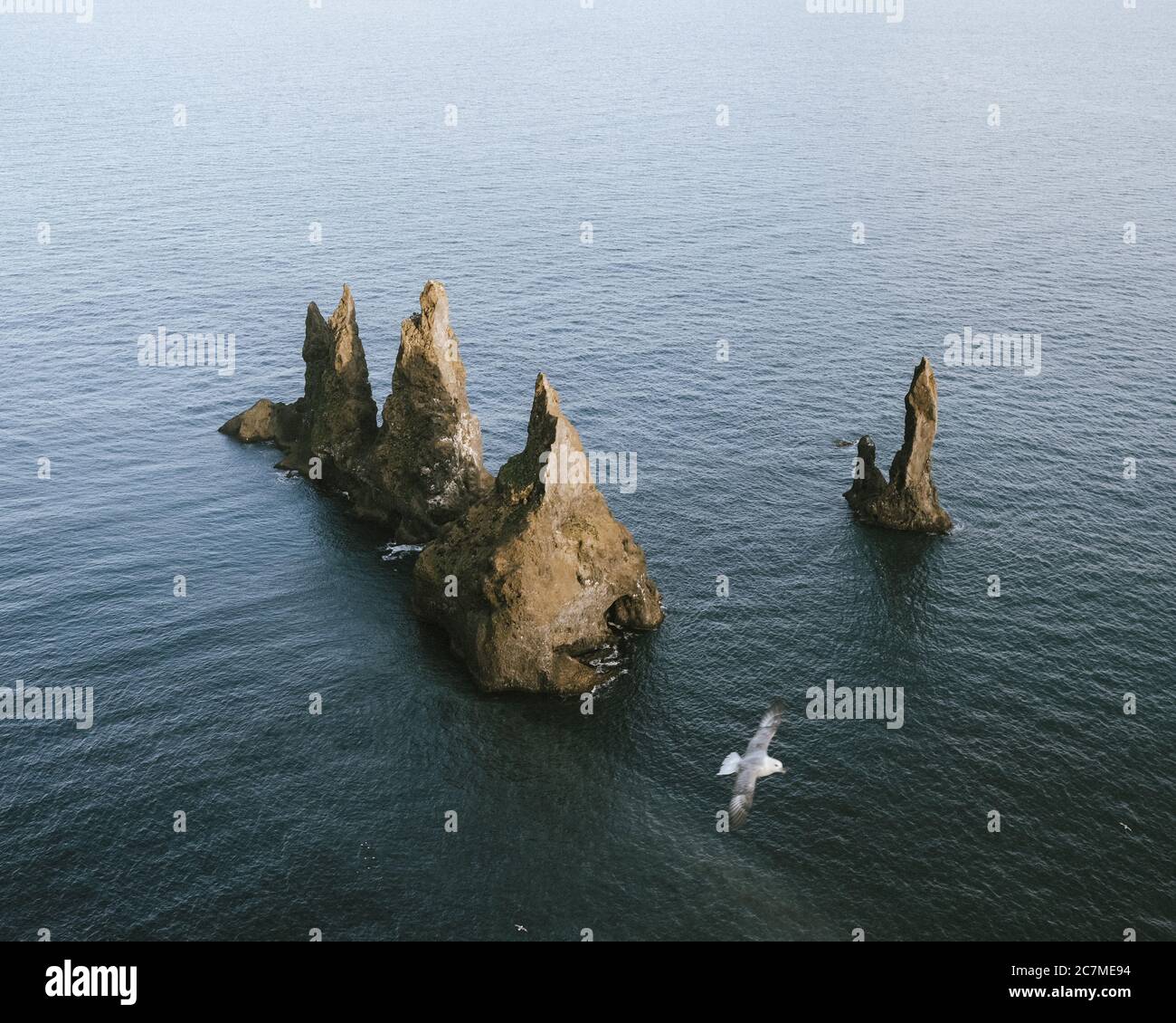 Vista dall'alto della famosa spiaggia nera Reynisfjara in Islanda vicino a Vík con un mare stack e seagul Foto Stock