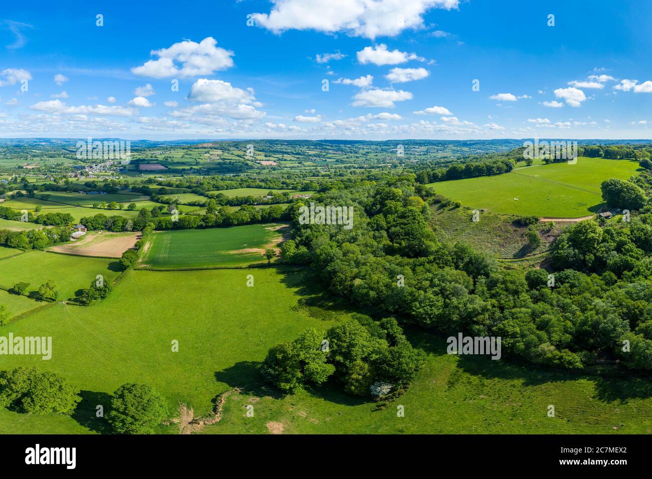 Blackdown Hills, aree di eccezionale bellezza naturale vicino Craddock, Devon, Inghilterra, Regno Unito, Europa Foto Stock