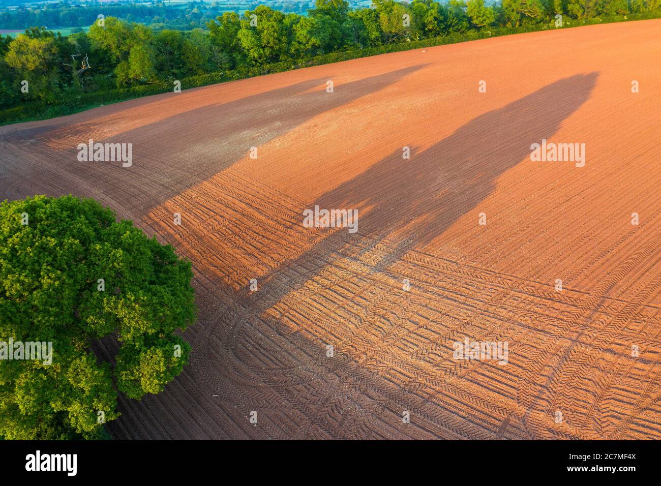 Primavera nel Devon vicino a Exeter, Devon, Inghilterra, Regno Unito, Europa Foto Stock