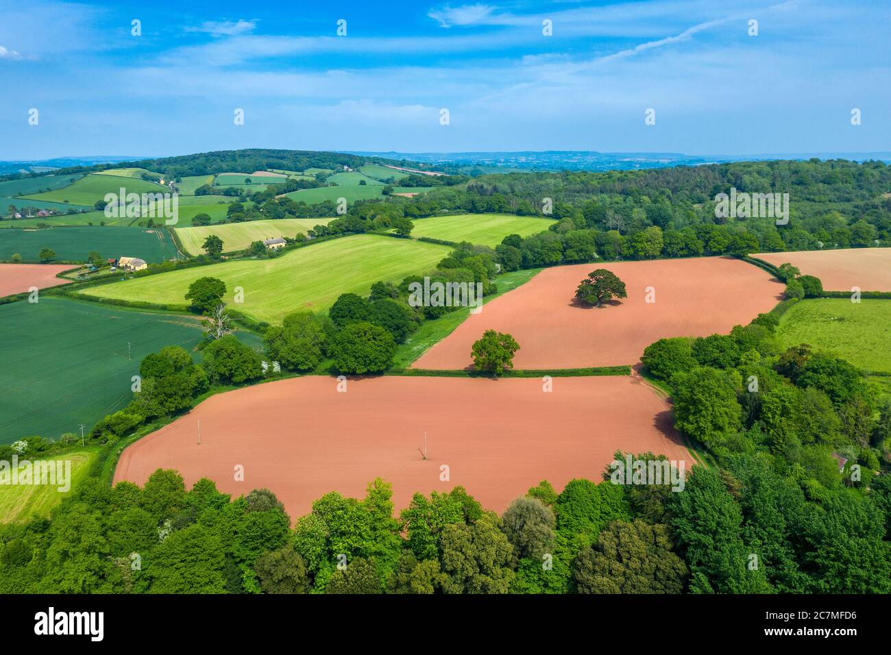 Primavera nel Devon vicino a Exeter, Devon, Inghilterra, Regno Unito, Europa Foto Stock