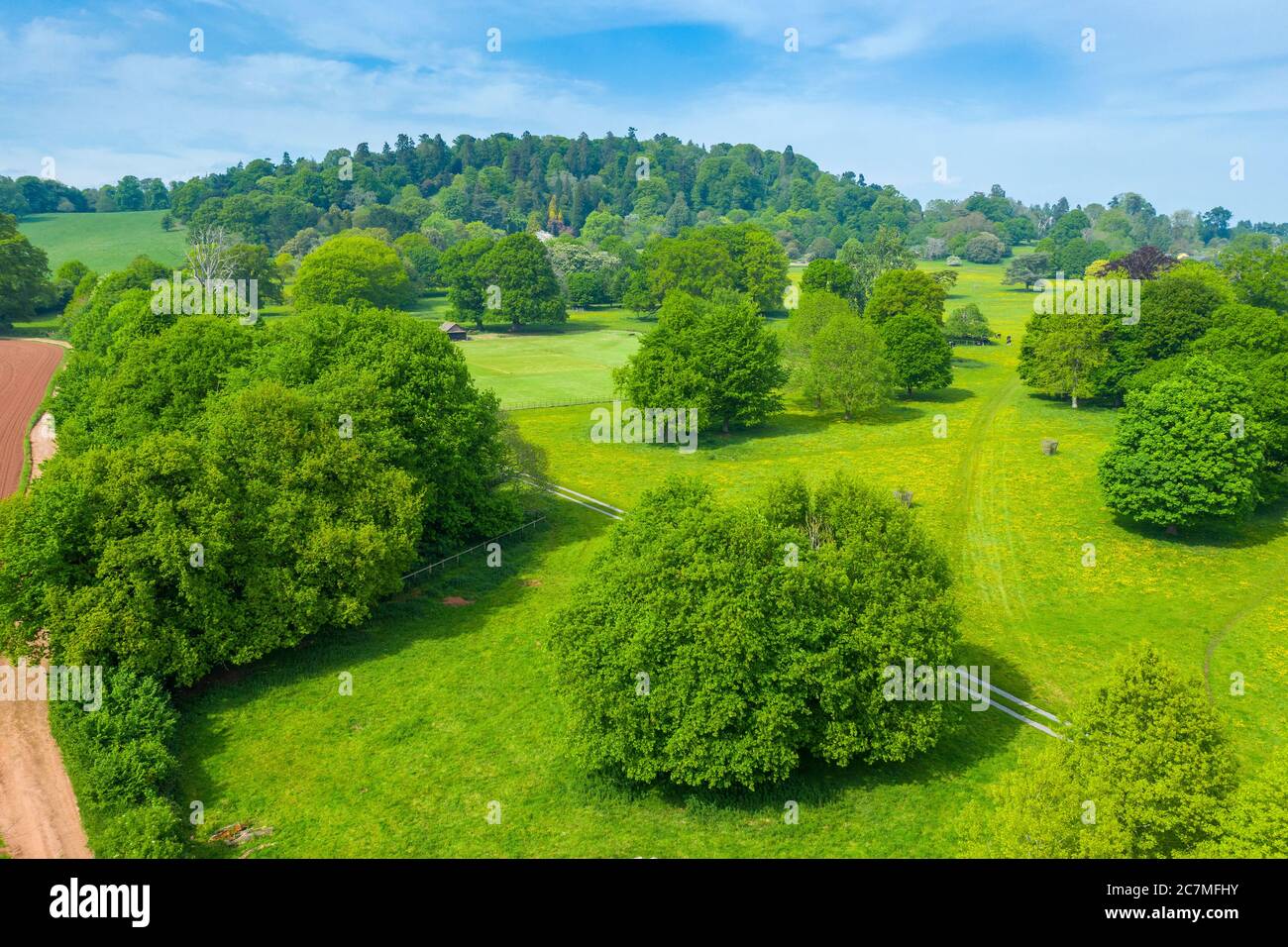 Primavera nel Devon vicino a Exeter, Devon, Inghilterra, Regno Unito, Europa Foto Stock