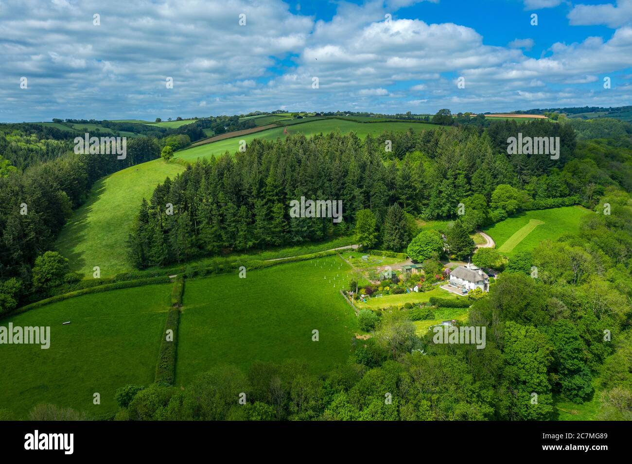 Primavera nel Devon vicino a Tiverton, Devon, Inghilterra, Regno Unito, Europa Foto Stock