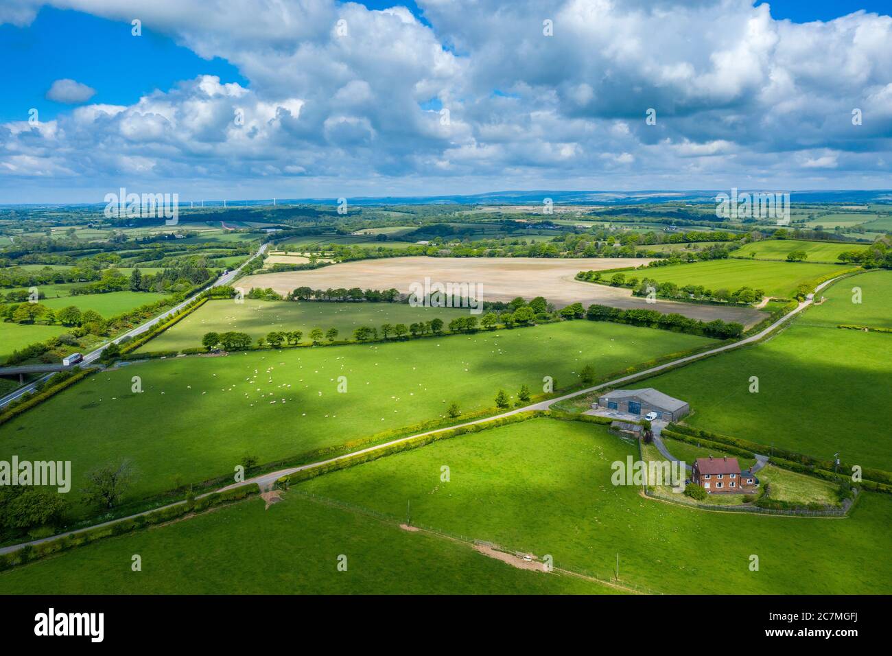 Primavera nel Devon vicino a Tiverton, Devon, Inghilterra, Regno Unito, Europa Foto Stock