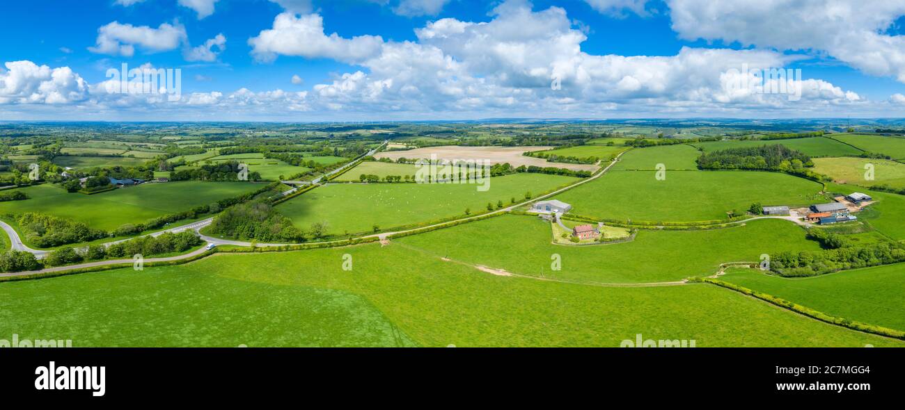 Primavera nel Devon vicino a Tiverton, Devon, Inghilterra, Regno Unito, Europa Foto Stock